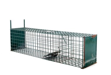 beyaz arkaplanın önündeki kafes