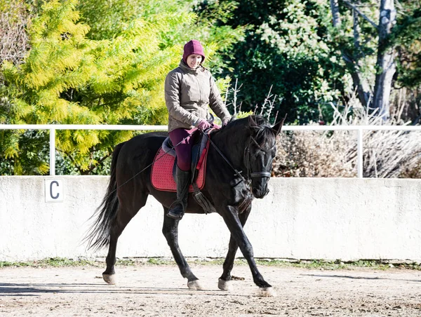 Binici Kız Siyah Atını Eğitiyor — Stok fotoğraf