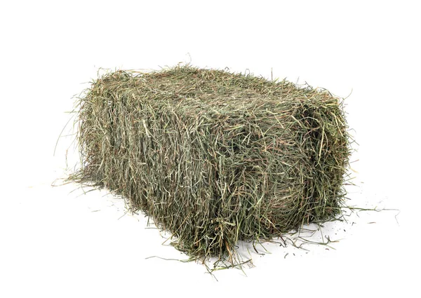 Hay Bale Front White Background — Stock Photo, Image