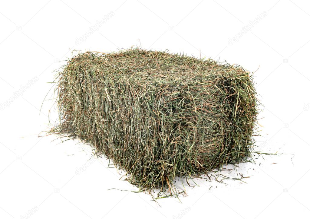 hay bale in front of white background