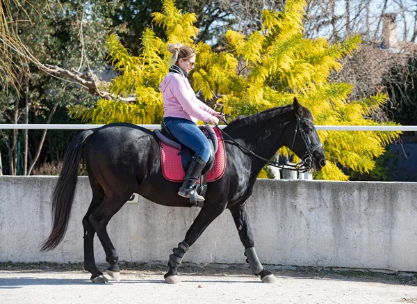Gadis Berkuda Melatih Kuda Hitamnya — Stok Foto