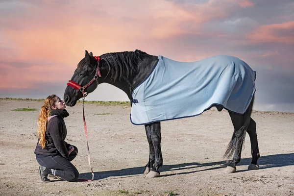 Woman Black Horse His Horse Blanket Winter — Stock Photo, Image