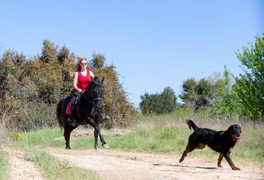  Binici kız siyah atını eğitiyor.