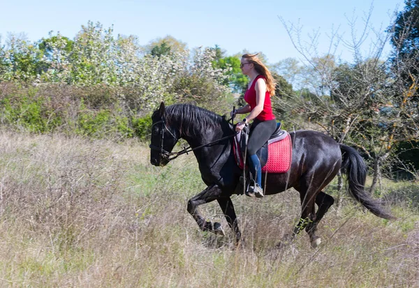 Equitazione Ragazza Sono Formazione Suo Nero Cavallo — Foto Stock