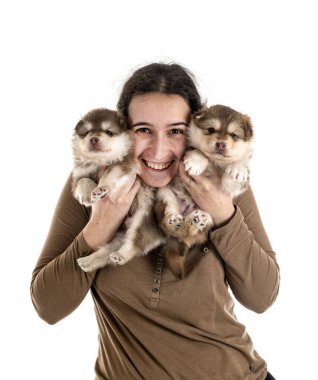 Fince köpek yavrusu Lapphund ve beyaz arkaplan sahibi