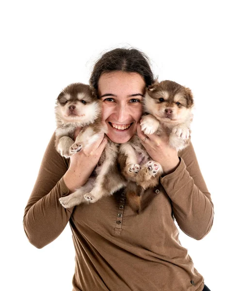 Valp Finska Lapphund Och Ägare Framför Vit Bakgrund — Stockfoto