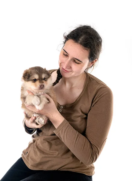 Cachorro Finlandês Lapphund Proprietário Frente Fundo Branco — Fotografia de Stock