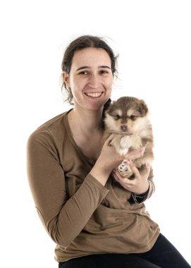 Fince köpek yavrusu Lapphund ve beyaz arkaplan sahibi