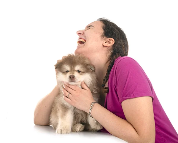 Puppy Finnish Lapphund Woman Front White Background — Stock Photo, Image