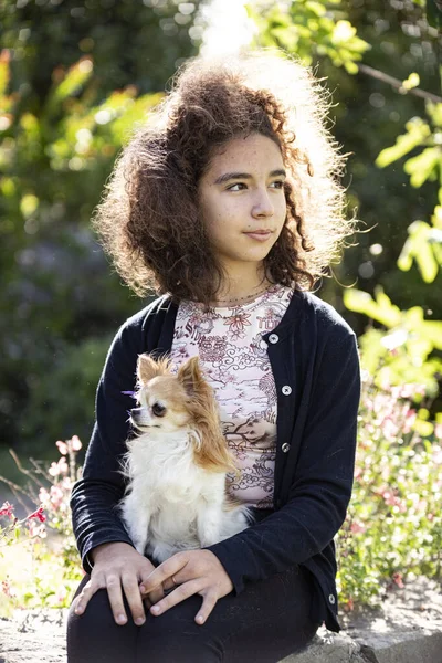 Portrait Une Jeune Fille Son Chihuahua — Photo