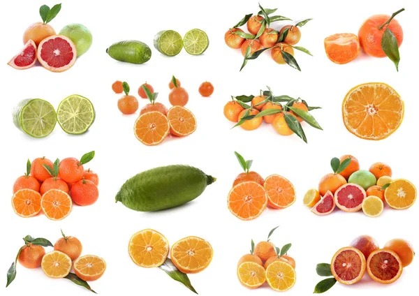 柑橘类水果在白色背景前的组合图片 — 图库照片