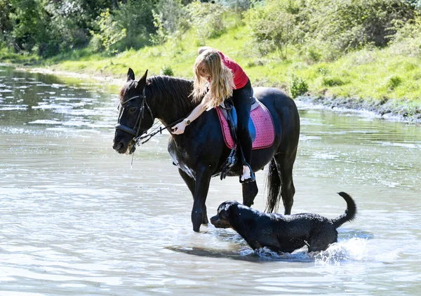 Ata Binen Kız Siyah Atını Köpeğiyle Birlikte Nehirde Eğitiyor — Stok fotoğraf