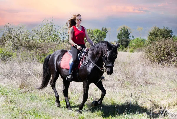 Montando Chica Están Entrenando Negro Caballo —  Fotos de Stock