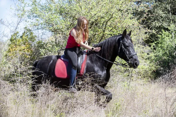 乗馬の女の子は黒い馬を訓練しています — ストック写真