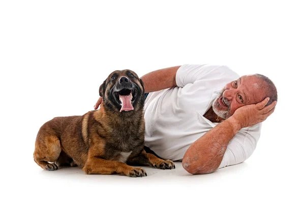 Belgische Herder Man Voor Witte Achtergrond — Stockfoto