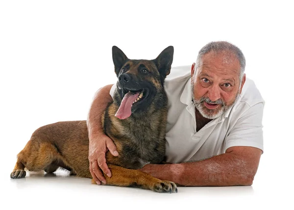 Belgische Herder Man Voor Witte Achtergrond — Stockfoto