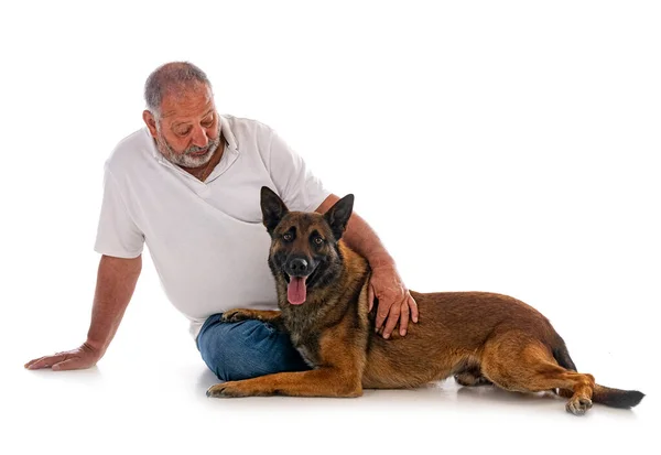 Belgian Shepherd Man Front White Background — Stock Photo, Image