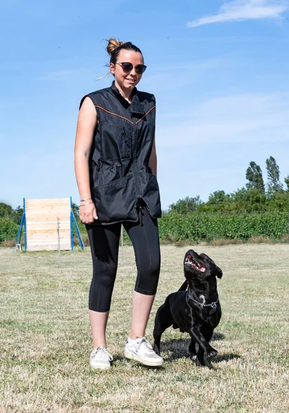 Treinamento Terrier Touro Staffordshire Para Disciplina Obediência — Fotografia de Stock