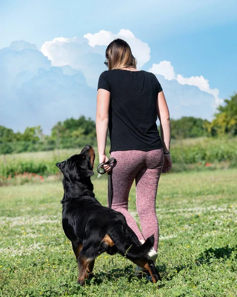 Frau Und Rottweiler Wandern Sommer Der Natur — Stockfoto