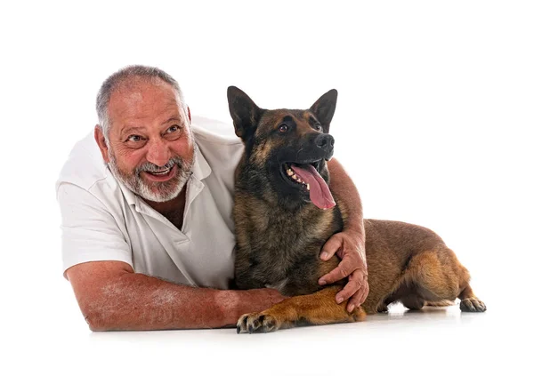 Belgian Shepherd Man Front White Background — Fotografia de Stock