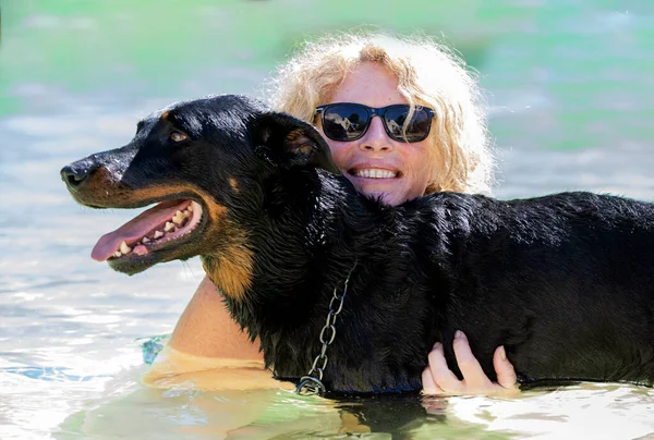 French Shepherd Playing Swimming Swimming Pool — ストック写真