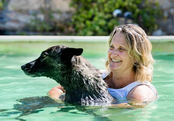 Dutch Shepherd Woman Swimming Swimming Pool Summer — Stockfoto