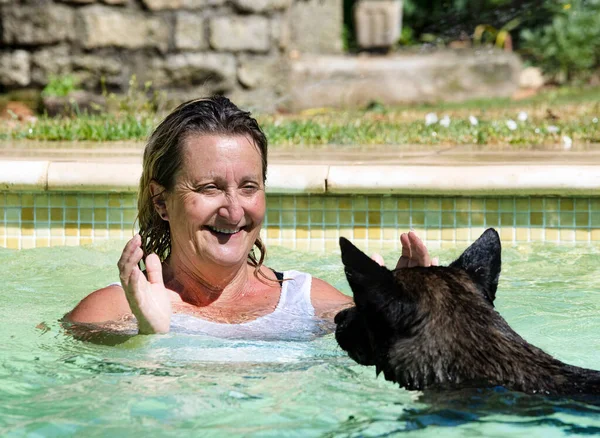 Dutch Shepherd and woman swimming in a swimming pool in summer