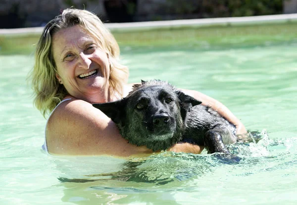 Dutch Shepherd Woman Swimming Swimming Pool Summer — Stock Fotó