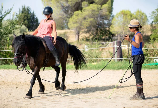 乗馬の女の子は黒い馬を訓練しています — ストック写真