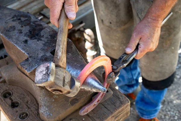 Farrier Horse Hoof Working Close — стоковое фото