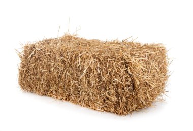 bundle of straw in front of white background