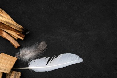 palo santo  in front of dark background