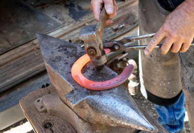 Farrier with horse hoof working close up