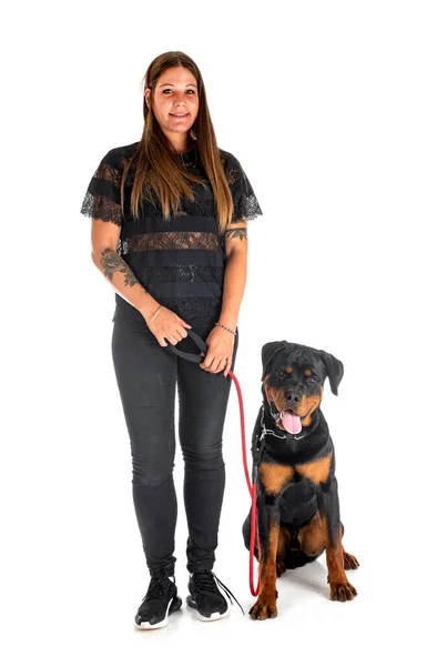 Puppy Rottweiler Woman Front White Background — Stock Photo, Image