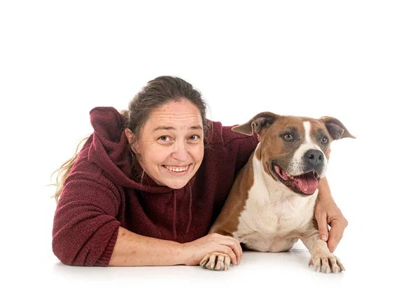 American Staffordshire Terrier Mulher Frente Fundo Branco — Fotografia de Stock