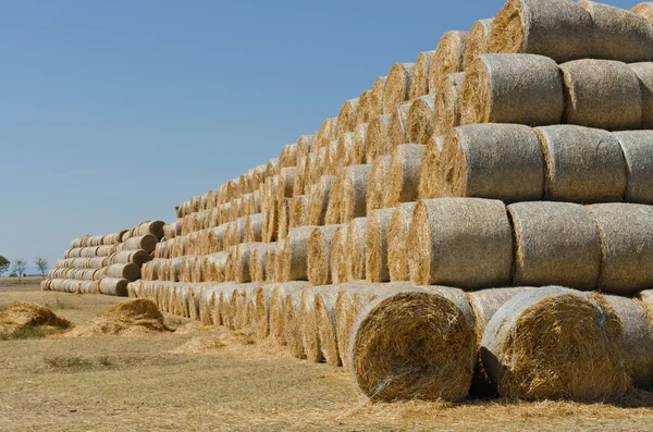 Pacas de heno — Foto de Stock