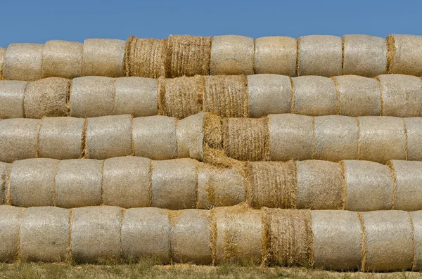 Hay balyaları — Stok fotoğraf