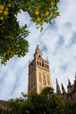 gördün mü, seville, İspanya'nın saint mary Katedrali