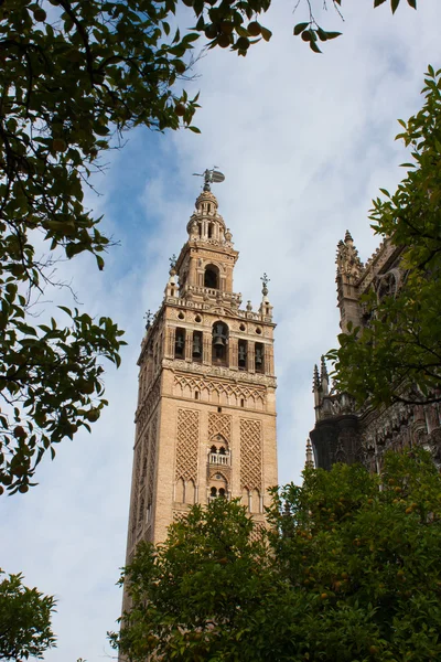 Kathedraal van saint mary van het zie, Sevilla, Spanje — Stockfoto