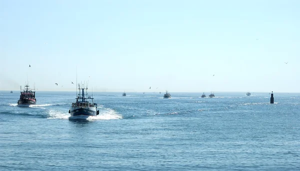 Trawler returned to port — Stock Photo, Image