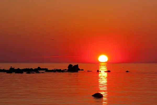 Pôr-do-sol de verão na Bretanha — Fotografia de Stock