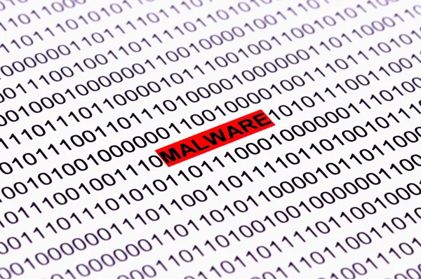 Kötü amaçlı yazılım Informatique
