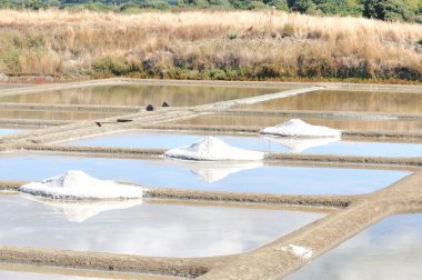 Saline guérande