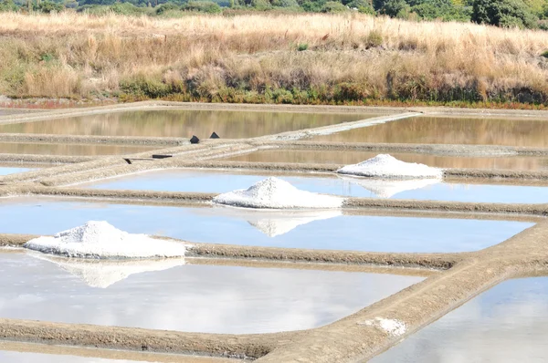 Saline guérande Stock Kép