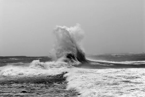 Tempestade gigante onda do mar — Fotografia de Stock