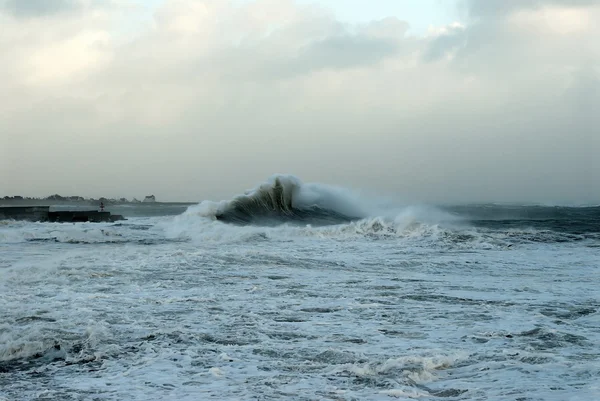 Fırtına dev deniz dalgası