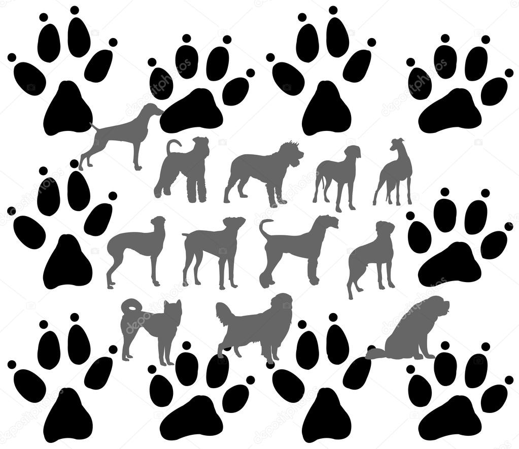 犬と足跡のシームレスなパターン ストックベクター C Mijo69 犬と足跡のシームレスなパターン ストックベクター C Mijo69