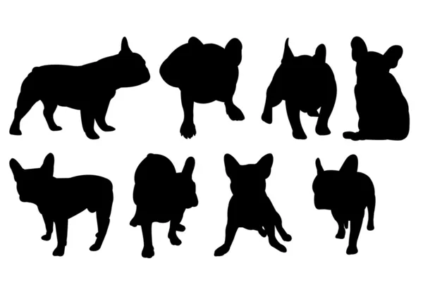 Vector silhouetten van Franse buldoggen — Stockvector