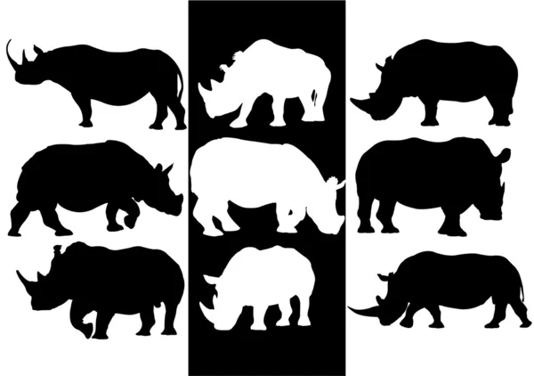 Rhino vector silhouettes — Stock Vector