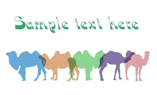 Camels silhouettes vector — Stock Vector